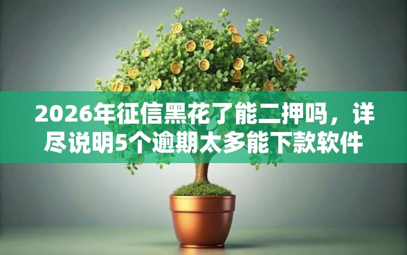 2026年征信黑花了能二押吗，详尽说明5个逾期太多能下款软件