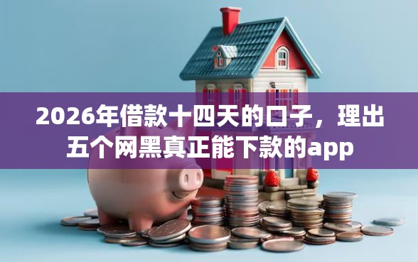 2026年借款十四天的口子，理出五个网黑真正能下款的app