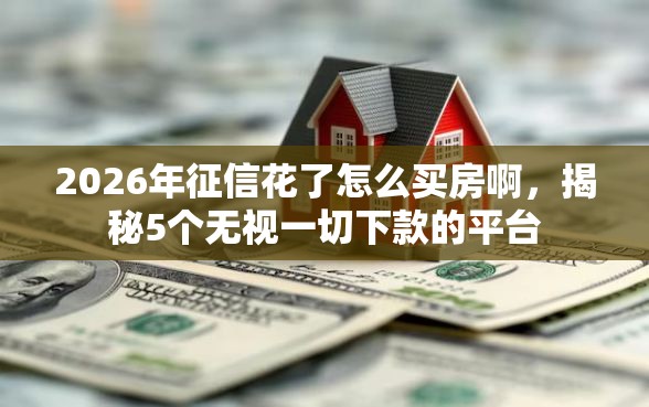 2026年征信花了怎么买房啊，揭秘5个无视一切下款的平台