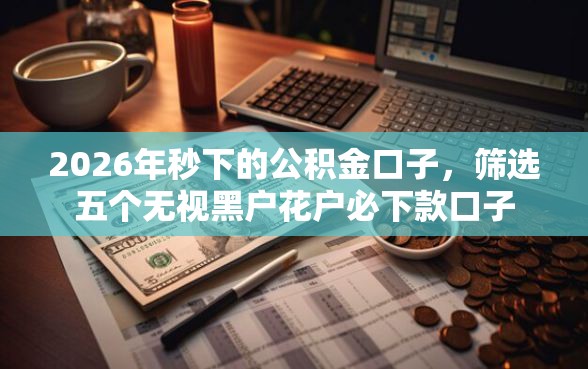 2026年秒下的公积金口子，筛选五个无视黑户花户必下款口子