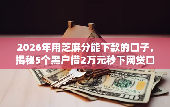 2026年用芝麻分能下款的口子，揭秘5个黑户借2万元秒下网贷口子app