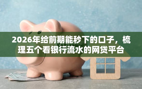 2026年给前期能秒下的口子，梳理五个看银行流水的网贷平台