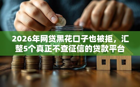 2026年网贷黑花口子也被拒，汇整5个真正不查征信的贷款平台