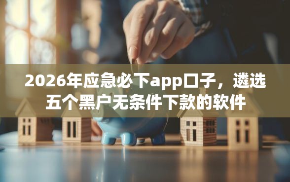 2026年应急必下app口子，遴选五个黑户无条件下款的软件