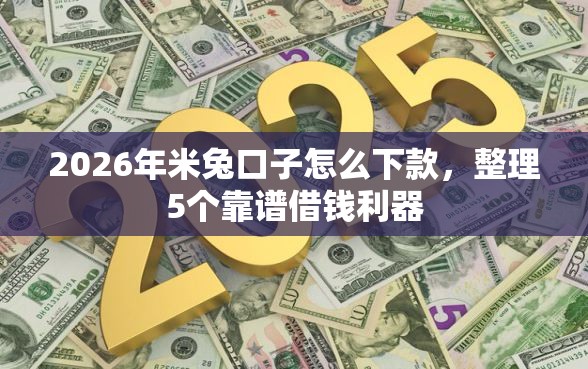 2026年米兔口子怎么下款，整理5个靠谱借钱利器