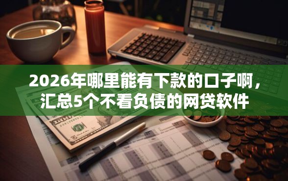 2026年哪里能有下款的口子啊，汇总5个不看负债的网贷软件