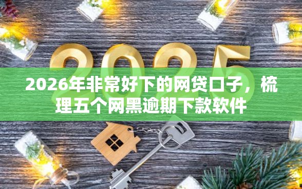 2026年非常好下的网贷口子，梳理五个网黑逾期下款软件