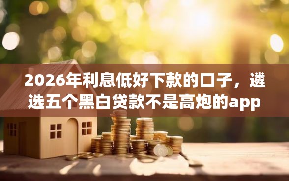 2026年利息低好下款的口子，遴选五个黑白贷款不是高炮的app