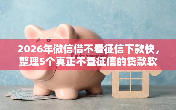2026年微信借不看征信下款快，整理5个真正不查征信的贷款软件