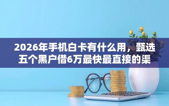 2026年手机白卡有什么用，甄选五个黑户借6万最快最直接的渠道