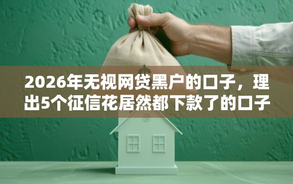 2026年无视网贷黑户的口子，理出5个征信花居然都下款了的口子