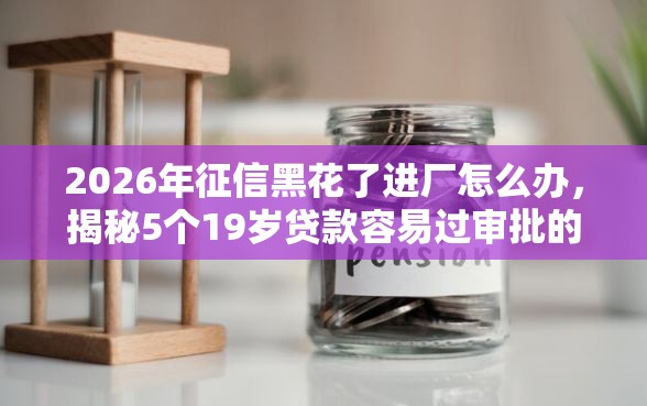2026年征信黑花了进厂怎么办，揭秘5个19岁贷款容易过审批的平台