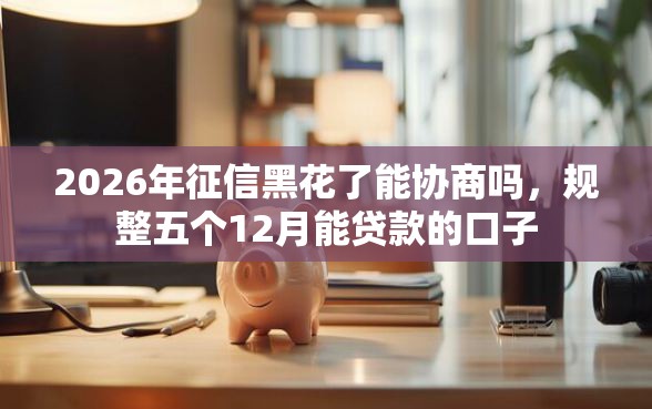 2026年征信黑花了能协商吗，规整五个12月能贷款的口子