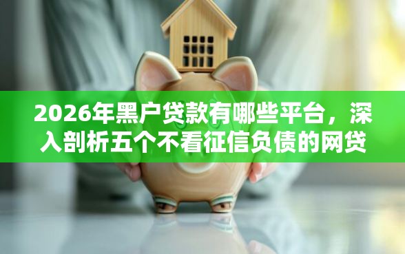 2026年黑户贷款有哪些平台，深入剖析五个不看征信负债的网贷百分百下款平台