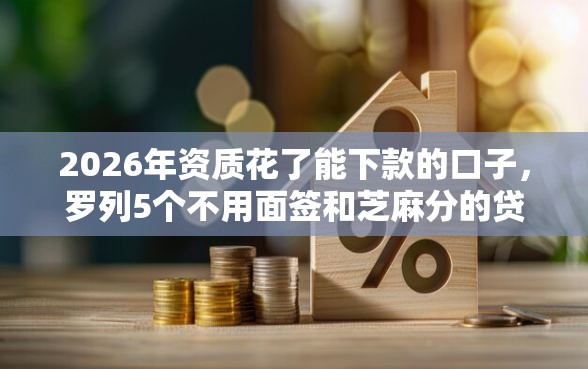 2026年资质花了能下款的口子，罗列5个不用面签和芝麻分的贷款口子