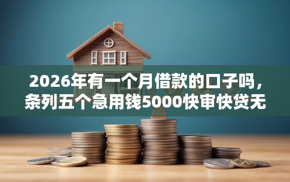 2026年有一个月借款的口子吗，条列五个急用钱5000快审快贷无需征信平台