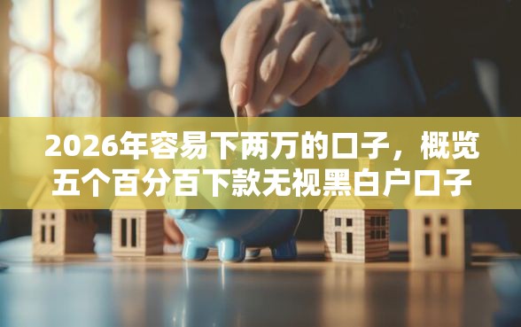 2026年容易下两万的口子，概览五个百分百下款无视黑白户口子