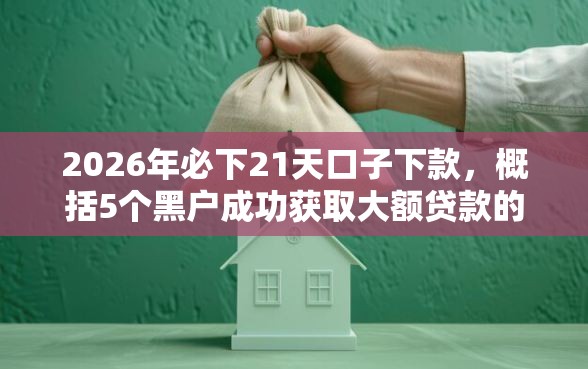 2026年必下21天口子下款，概括5个黑户成功获取大额贷款的平台