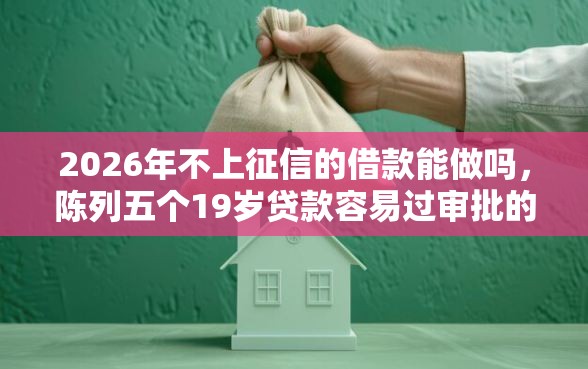 2026年不上征信的借款能做吗，陈列五个19岁贷款容易过审批的平台