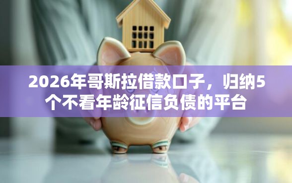 2026年哥斯拉借款口子，归纳5个不看年龄征信负债的平台
