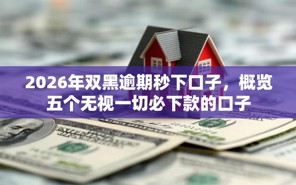 2026年双黑逾期秒下口子，概览五个无视一切必下款的口子