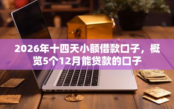 2026年十四天小额借款口子，概览5个12月能贷款的口子