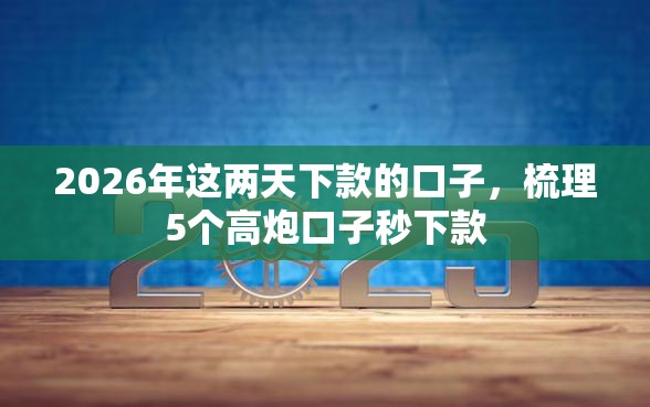 2026年这两天下款的口子，梳理5个高炮口子秒下款