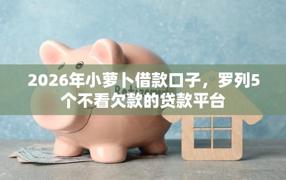 2026年小萝卜借款口子,罗列5个不看欠款的贷款平台 2026年小萝卜借款口子,罗列5个不看欠款的贷款平台