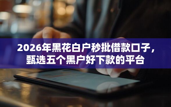 2026年黑花白户秒批借款口子，甄选五个黑户好下款的平台