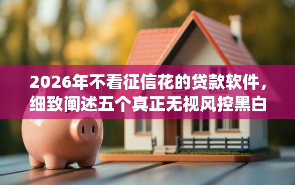 2026年不看征信花的贷款软件，细致阐述五个真正无视风控黑白的网贷app
