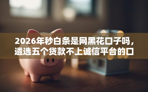 2026年秒白条是网黑花口子吗，遴选五个贷款不上诚信平台的口子