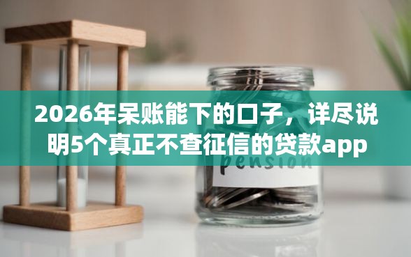 2026年呆账能下的口子，详尽说明5个真正不查征信的贷款app