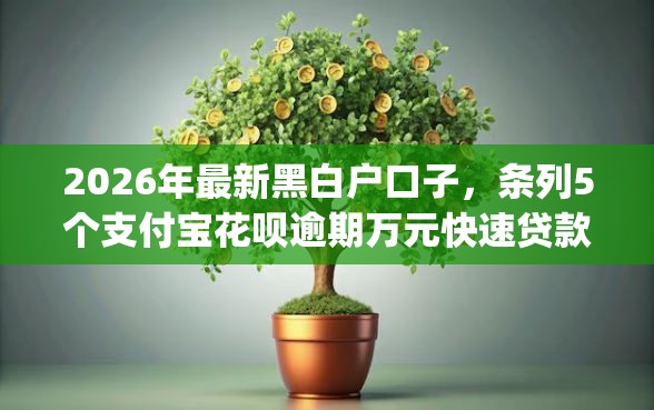 2026年最新黑白户口子，条列5个支付宝花呗逾期万元快速贷款app