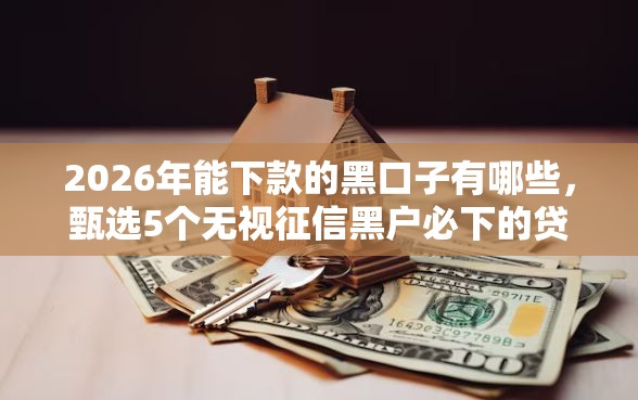 2026年能下款的黑口子有哪些，甄选5个无视征信黑户必下的贷款口子