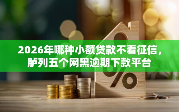 2026年哪种小额贷款不看征信，胪列五个网黑逾期下款平台