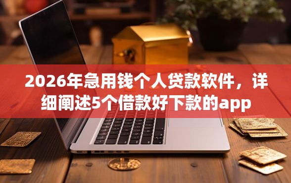 2026年急用钱个人贷款软件，详细阐述5个借款好下款的app