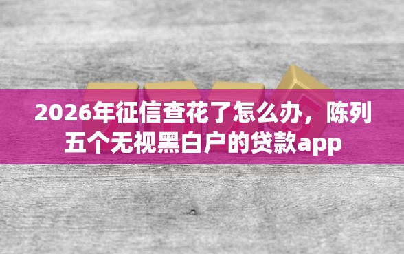 2026年征信查花了怎么办，陈列五个无视黑白户的贷款app