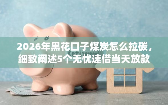 2026年黑花口子煤炭怎么拉碳，细致阐述5个无忧速借当天放款的app