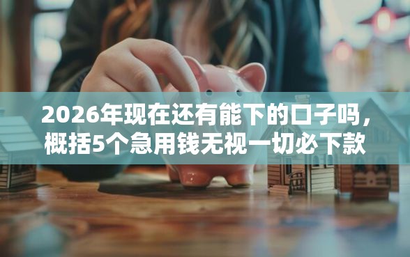 2026年现在还有能下的口子吗，概括5个急用钱无视一切必下款的口子