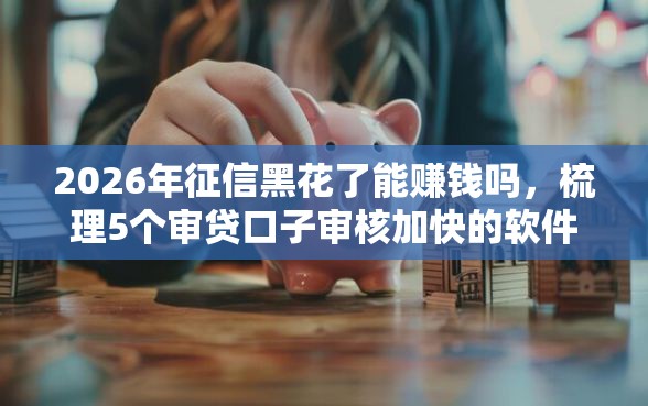 2026年征信黑花了能赚钱吗,梳理5个审贷口子审核加快的软件 2026年征信黑花了能赚钱吗,梳理5个审贷口子审核加快的软件