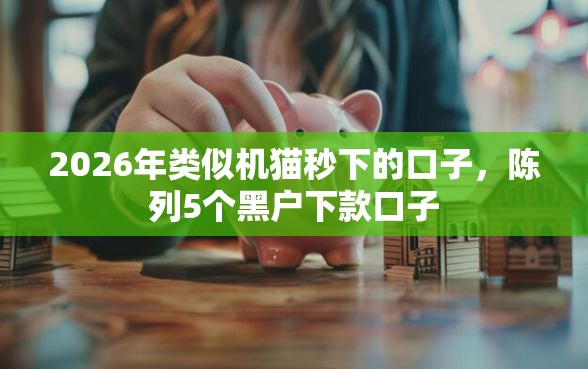 2026年类似机猫秒下的口子，陈列5个黑户下款口子