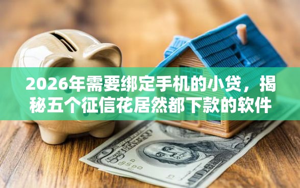 2026年需要绑定手机的小贷，揭秘五个征信花居然都下款的软件