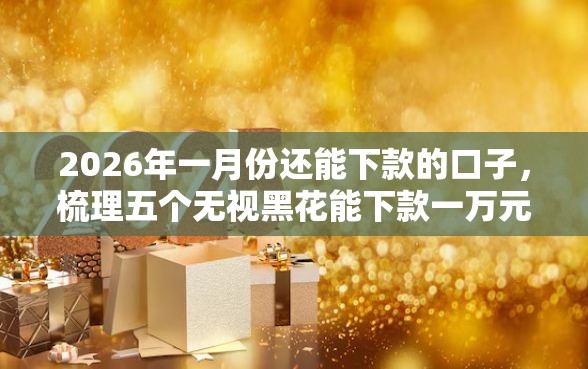 2026年一月份还能下款的口子，梳理五个无视黑花能下款一万元口子