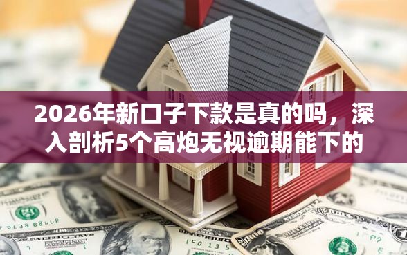 2026年新口子下款是真的吗，深入剖析5个高炮无视逾期能下的口子