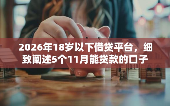 2026年18岁以下借贷平台，细致阐述5个11月能贷款的口子