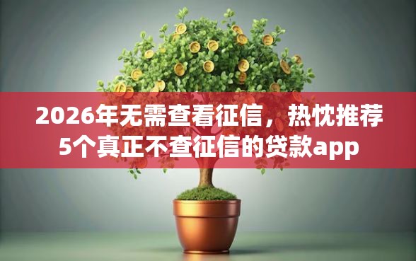 2026年无需查看征信，热忱推荐5个真正不查征信的贷款app