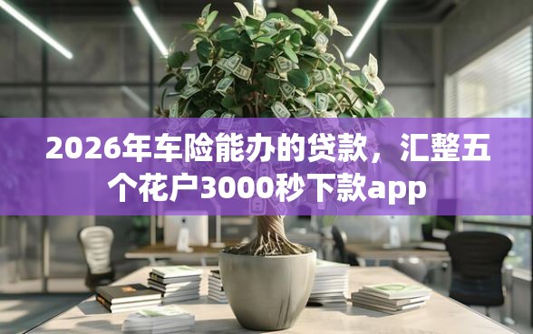 2026年车险能办的贷款，汇整五个花户3000秒下款app