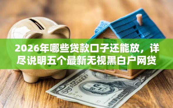 2026年哪些贷款口子还能放，详尽说明五个最新无视黑白户网贷口子