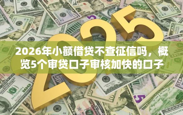 2026年小额借贷不查征信吗，概览5个审贷口子审核加快的口子