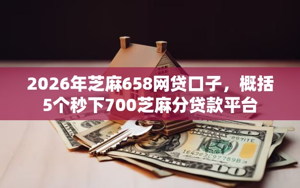 2026年芝麻658网贷口子，概括5个秒下700芝麻分贷款平台